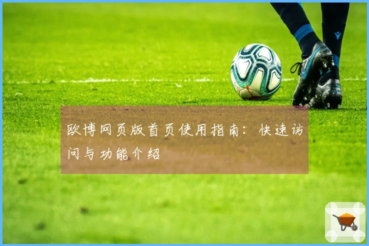 欧博网页版首页使用指南：快速访问与功能介绍